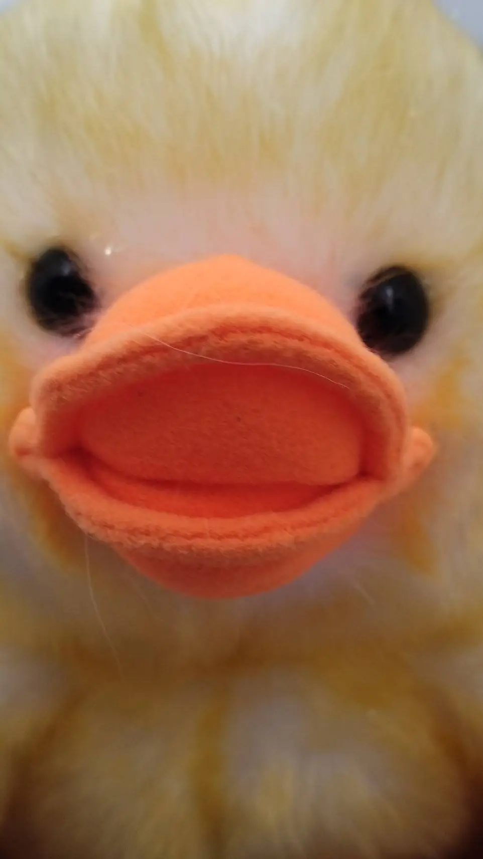 ai character: mister waddles background