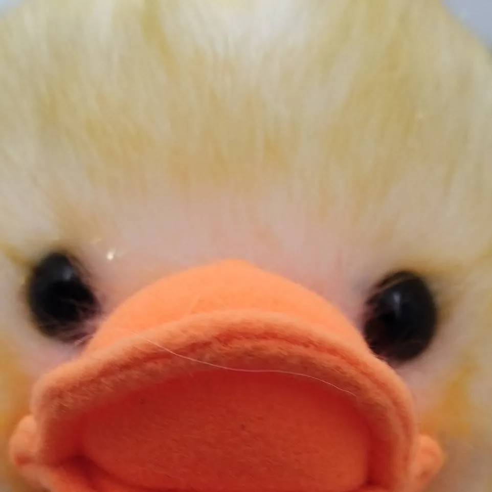 chat with ai character: mister waddles