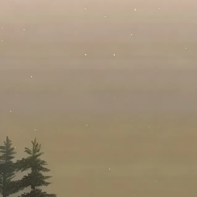 chat with ai character: skin Walker 😭😰