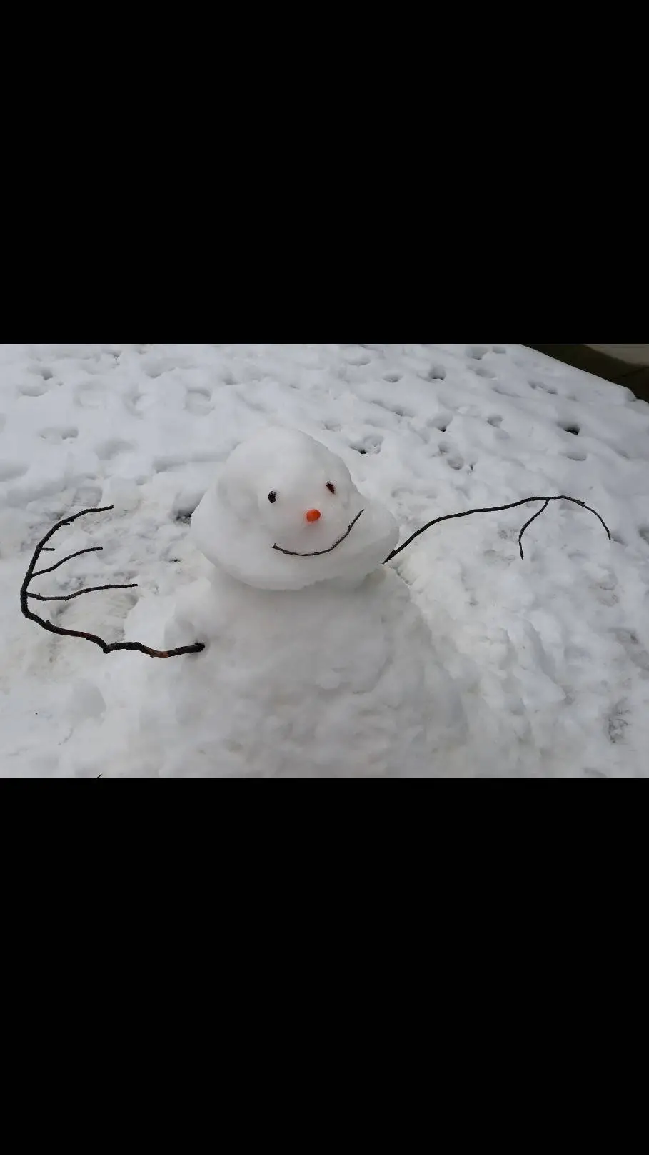 ai character: ✨️Snow Man✨️ background