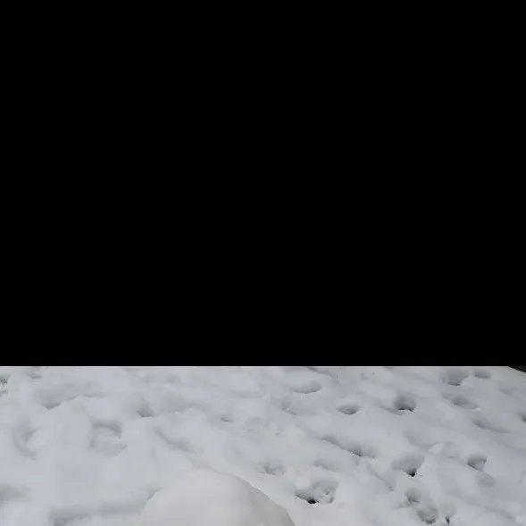 chat with ai character: ✨️Snow Man✨️