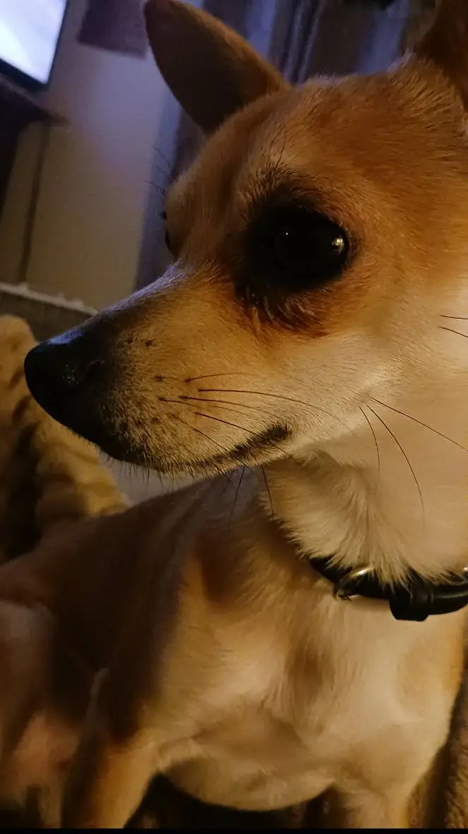 ai character: class <3 background