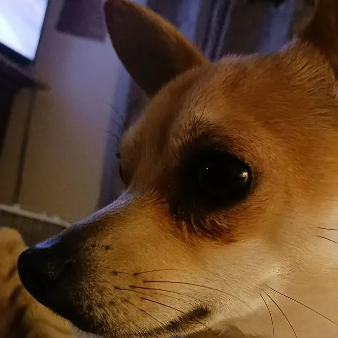 chat with ai character: class <3