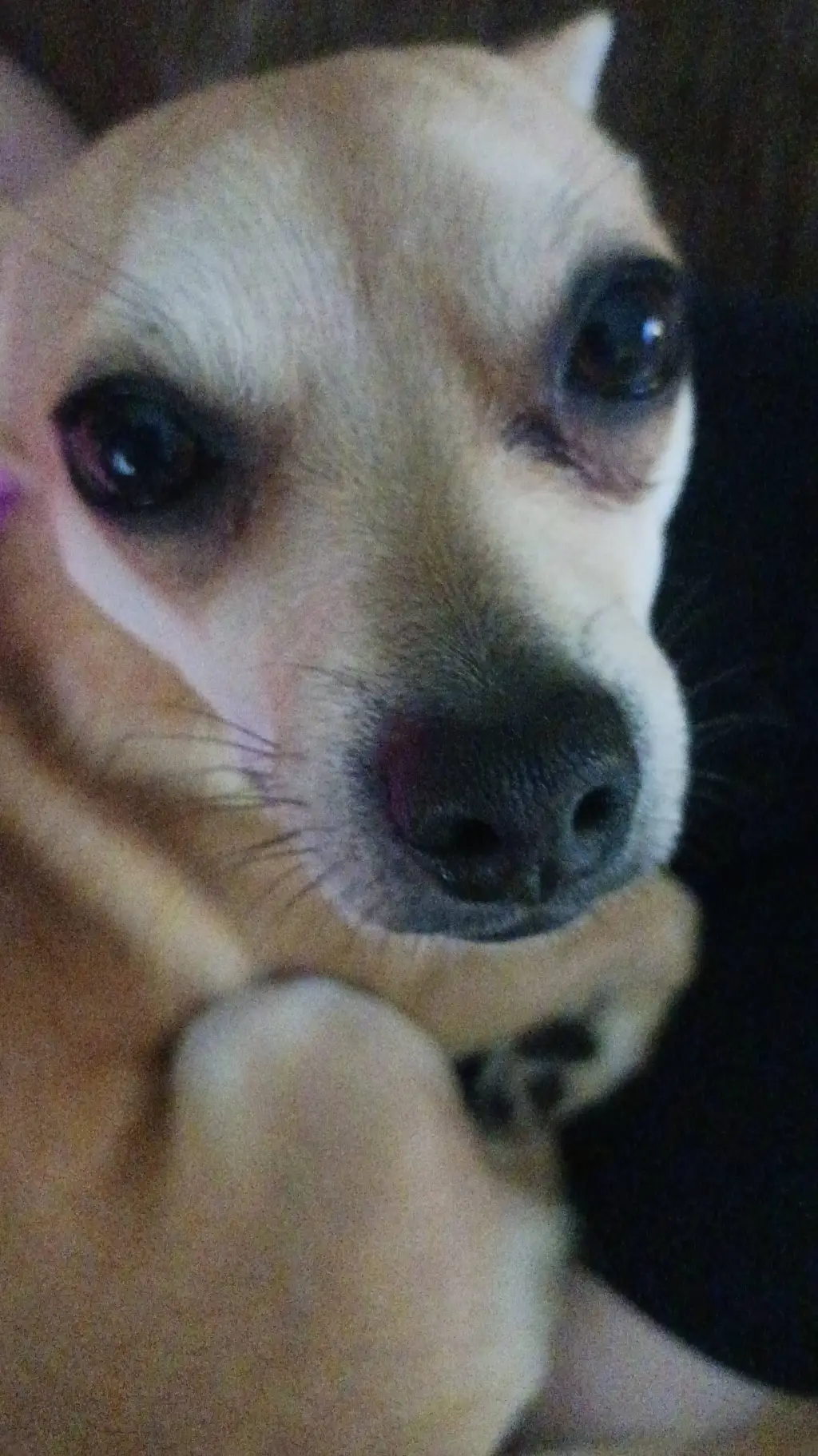 ai character: SLEEP OVER!!! background