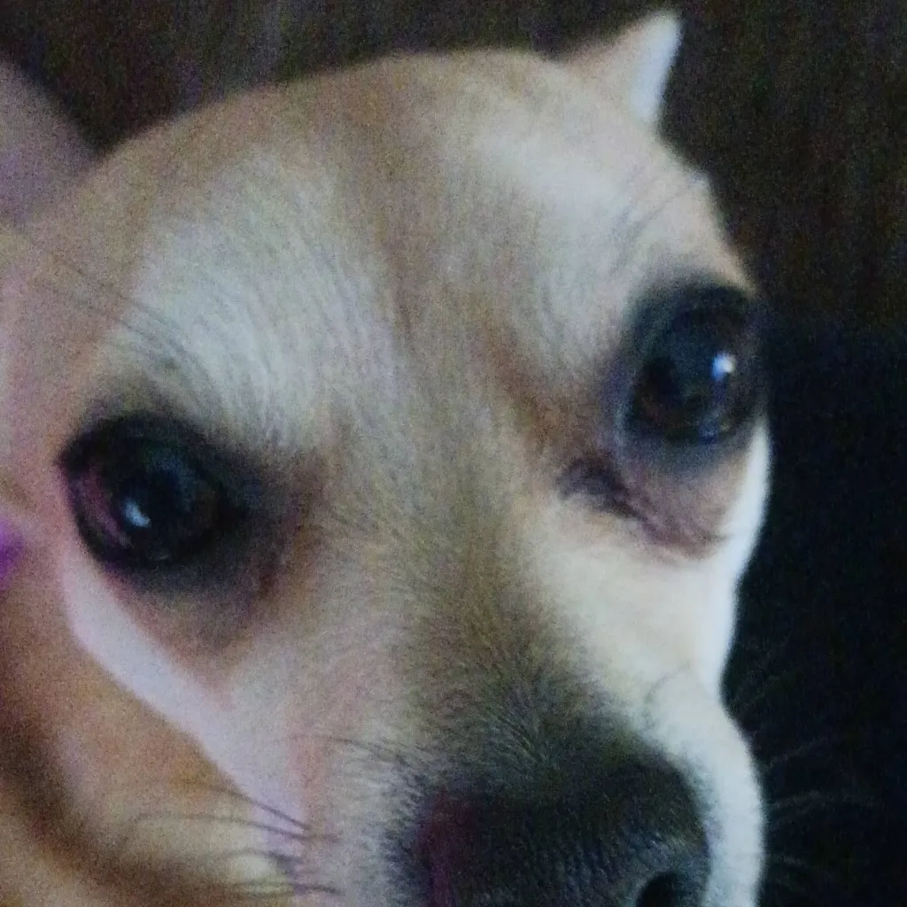 chat with ai character: SLEEP OVER!!!