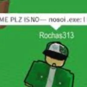 chat with ai character: rochas.exe xd
