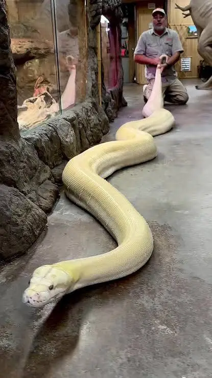 ai character: Natalia  background