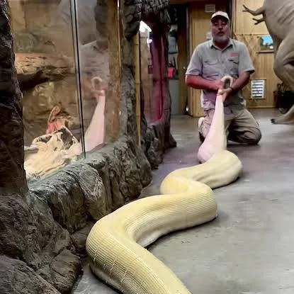 chat with ai character: Natalia 