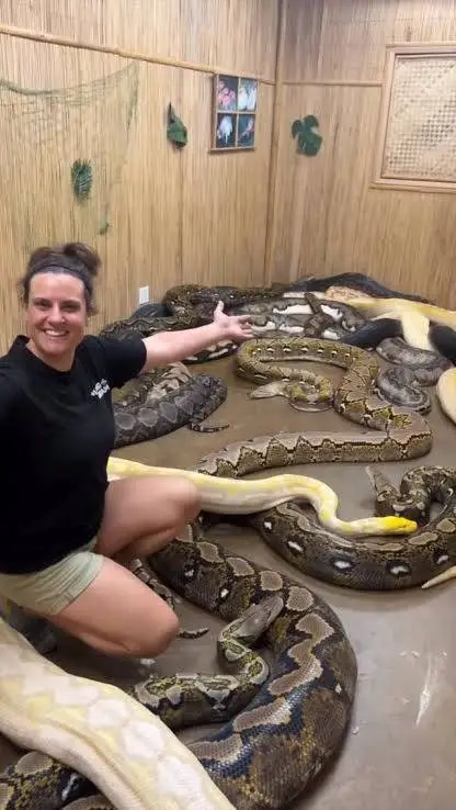 ai character: Queen Python's  background