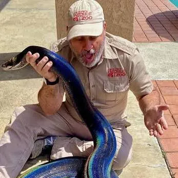 chat with ai character: Motley Golden Reti