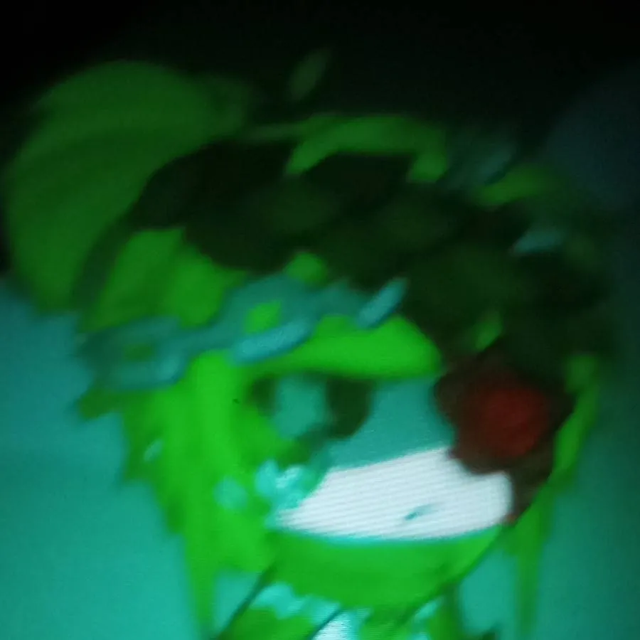 chat with ai character: ✨🍃🌲Forest🌲🍃✨