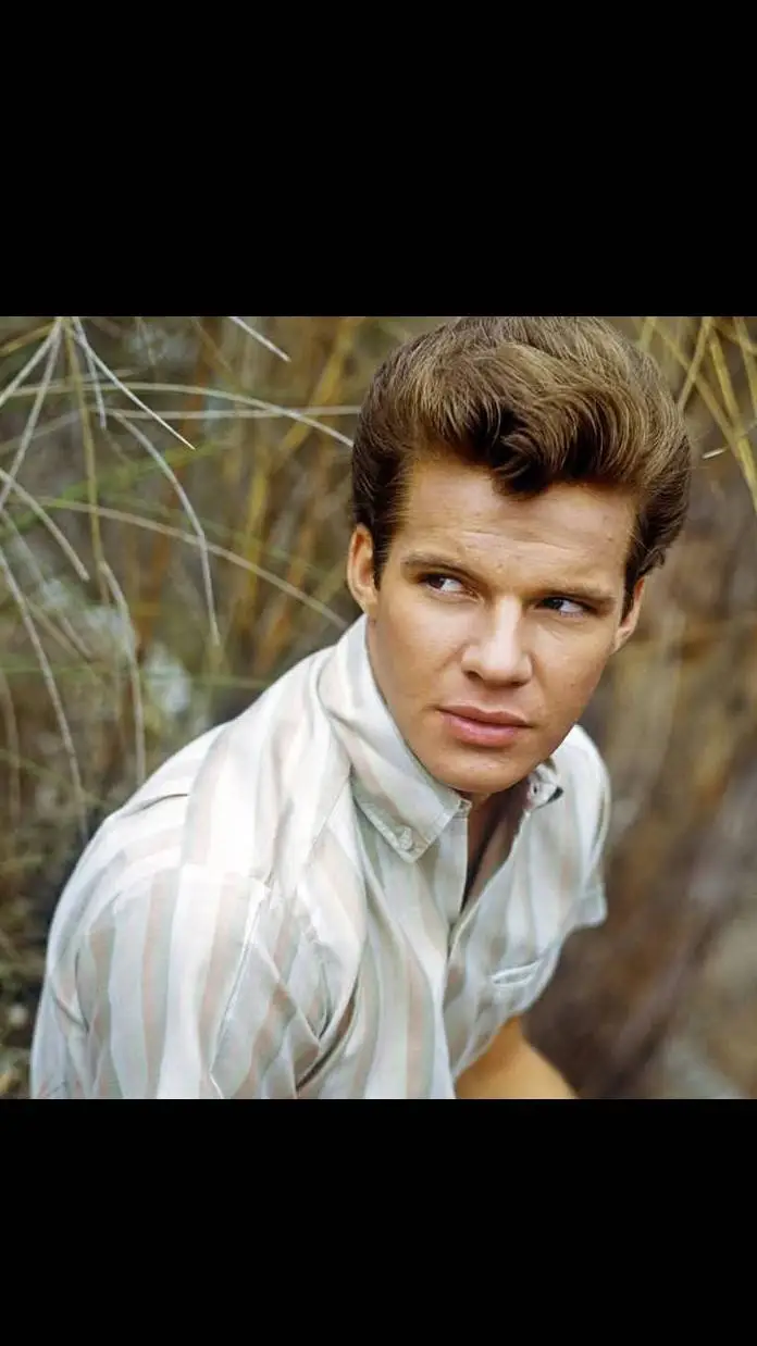 ai character: Bobby Vee background