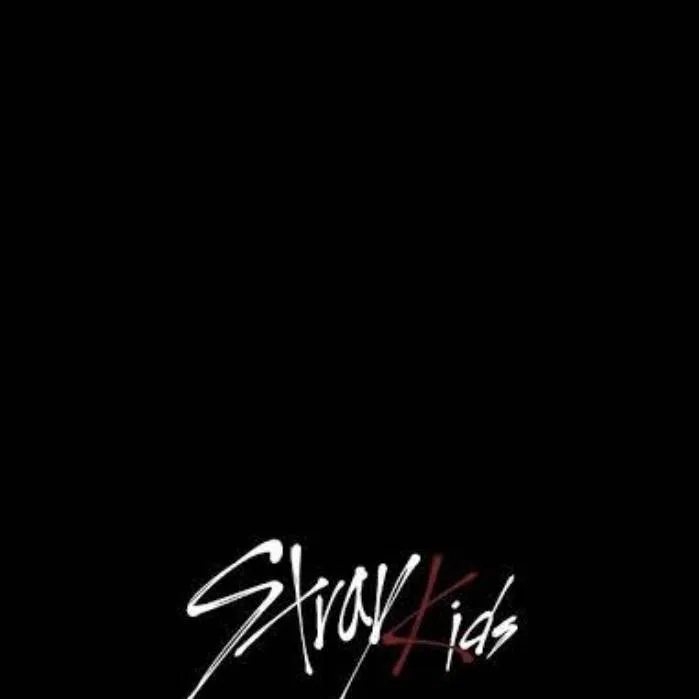 chat with ai character: skz 