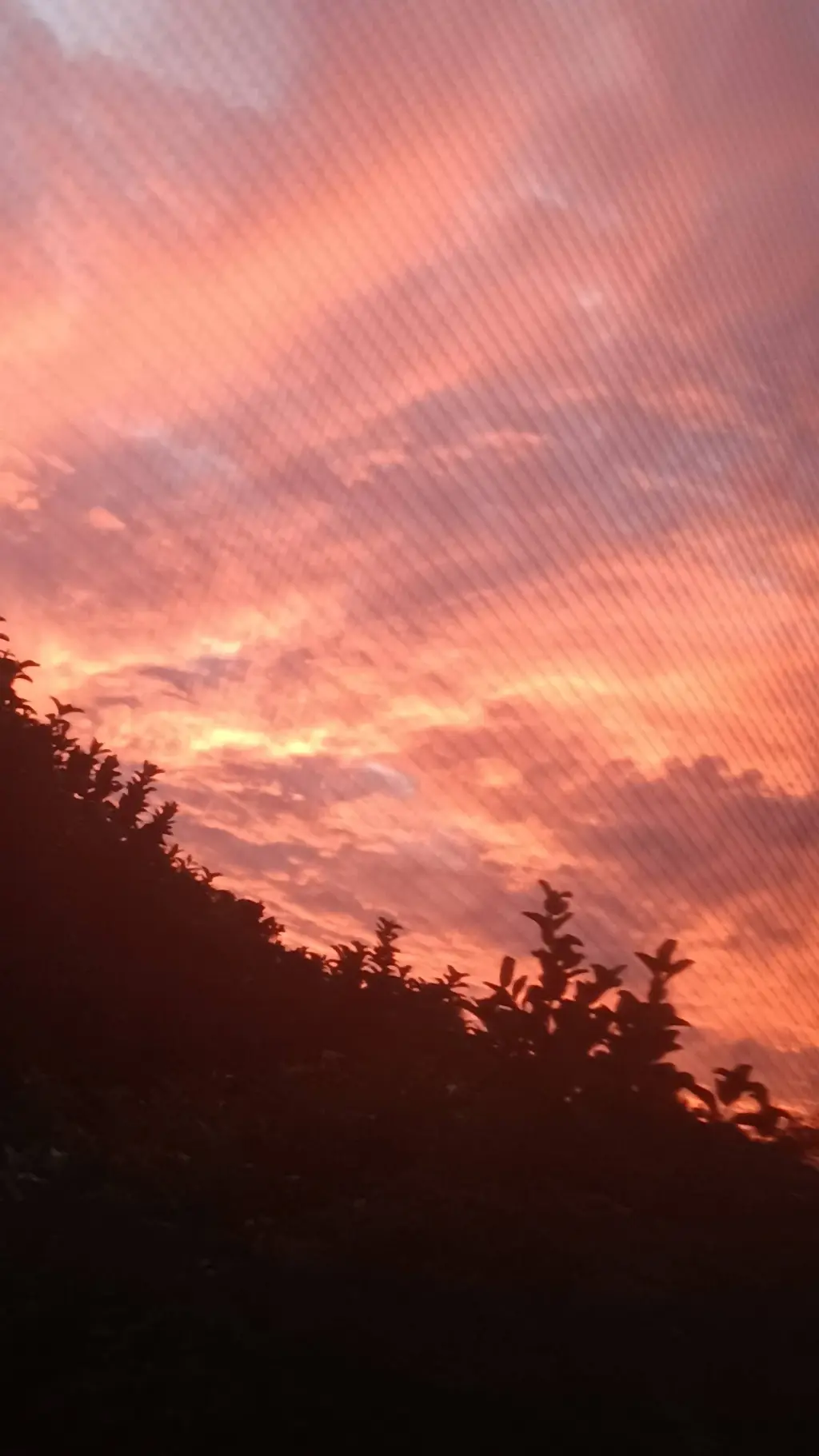 ai character: Mha Hospital  background