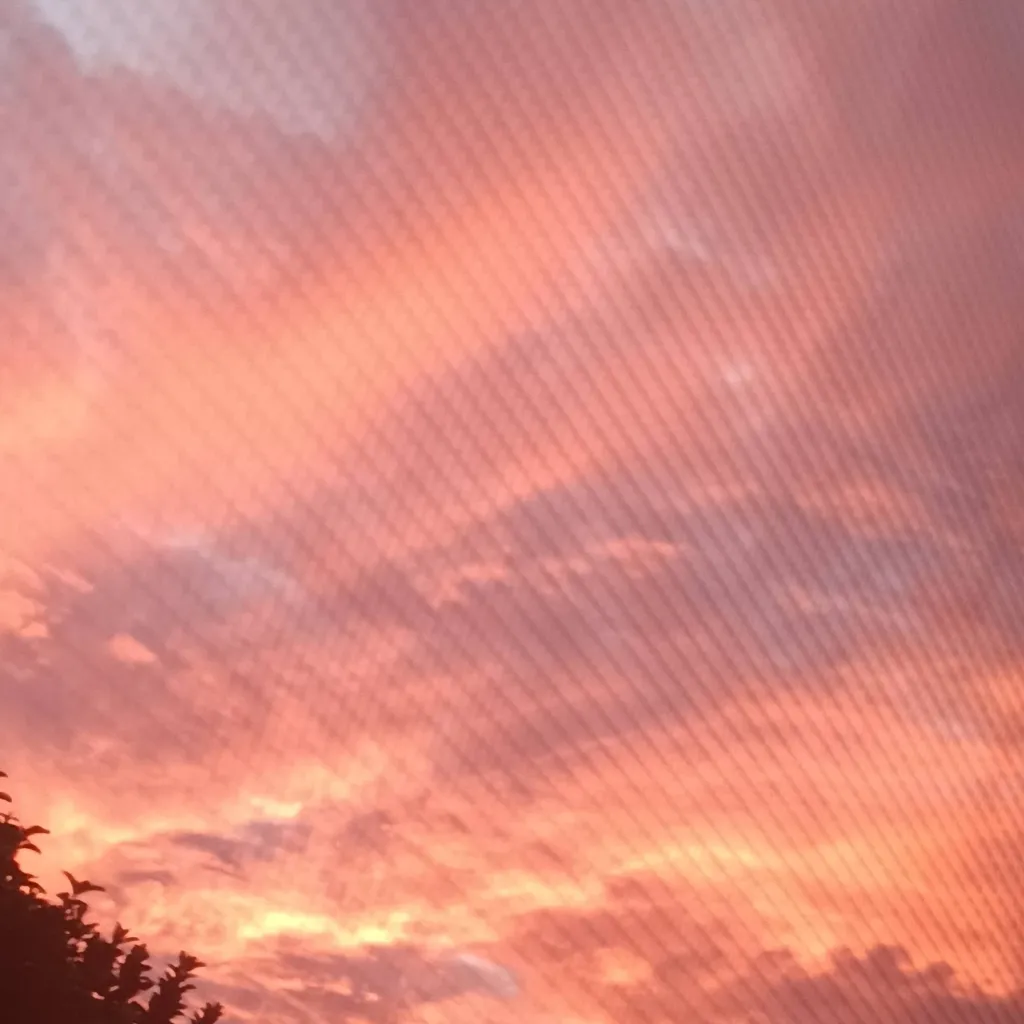 chat with ai character: Mha Hospital 