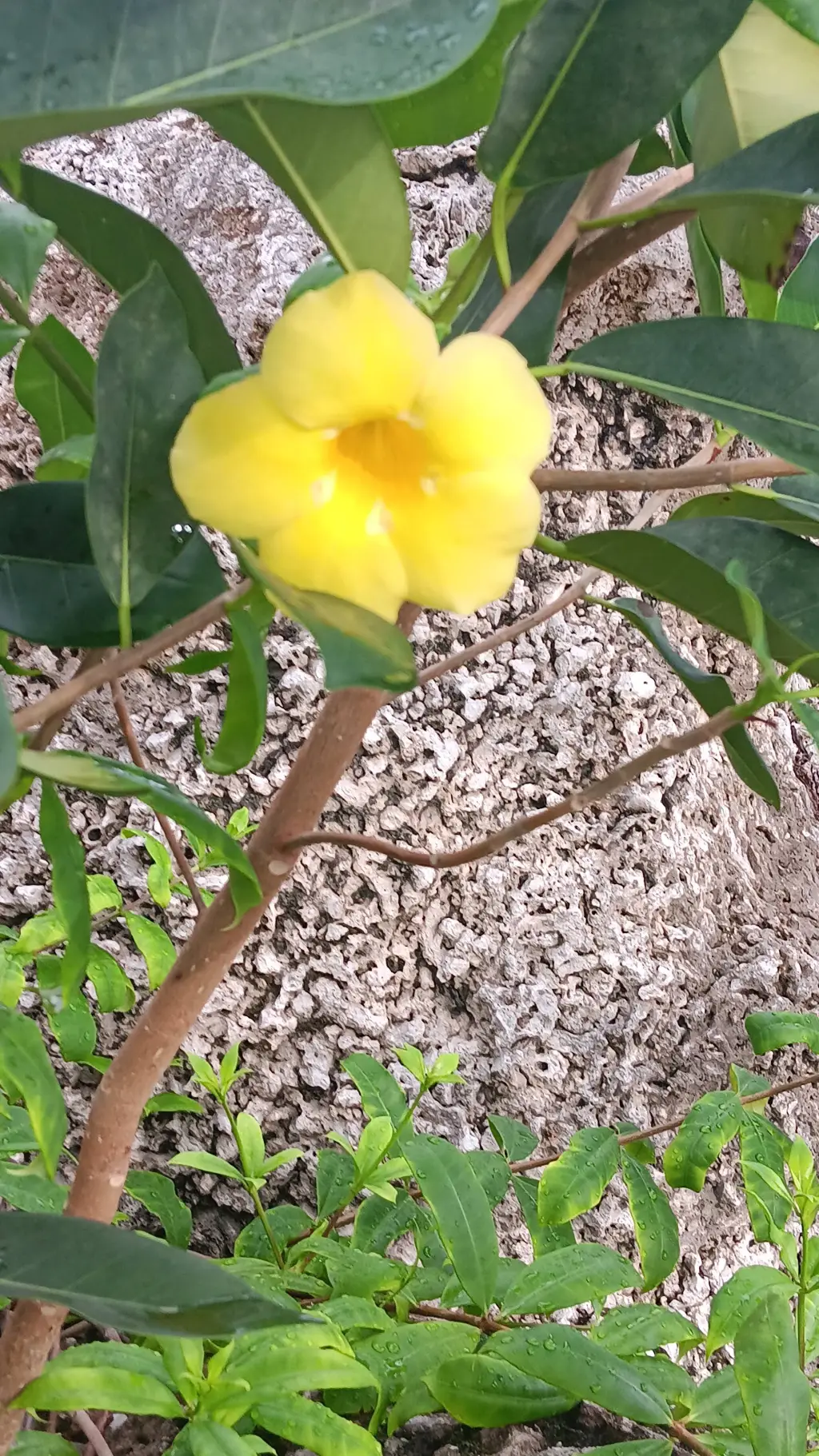 ai character: Mha background