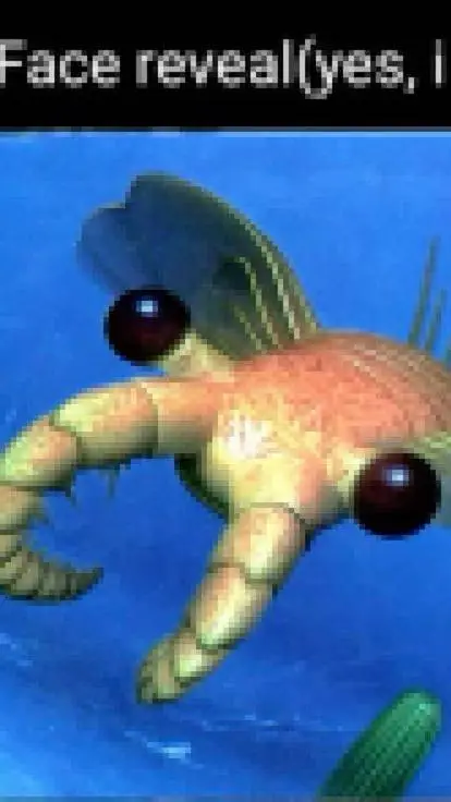 Talkie AI - Chat with anomalocaris :3