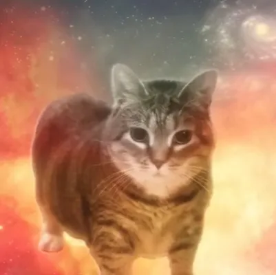 chat with ai character: Olla cat 🐱