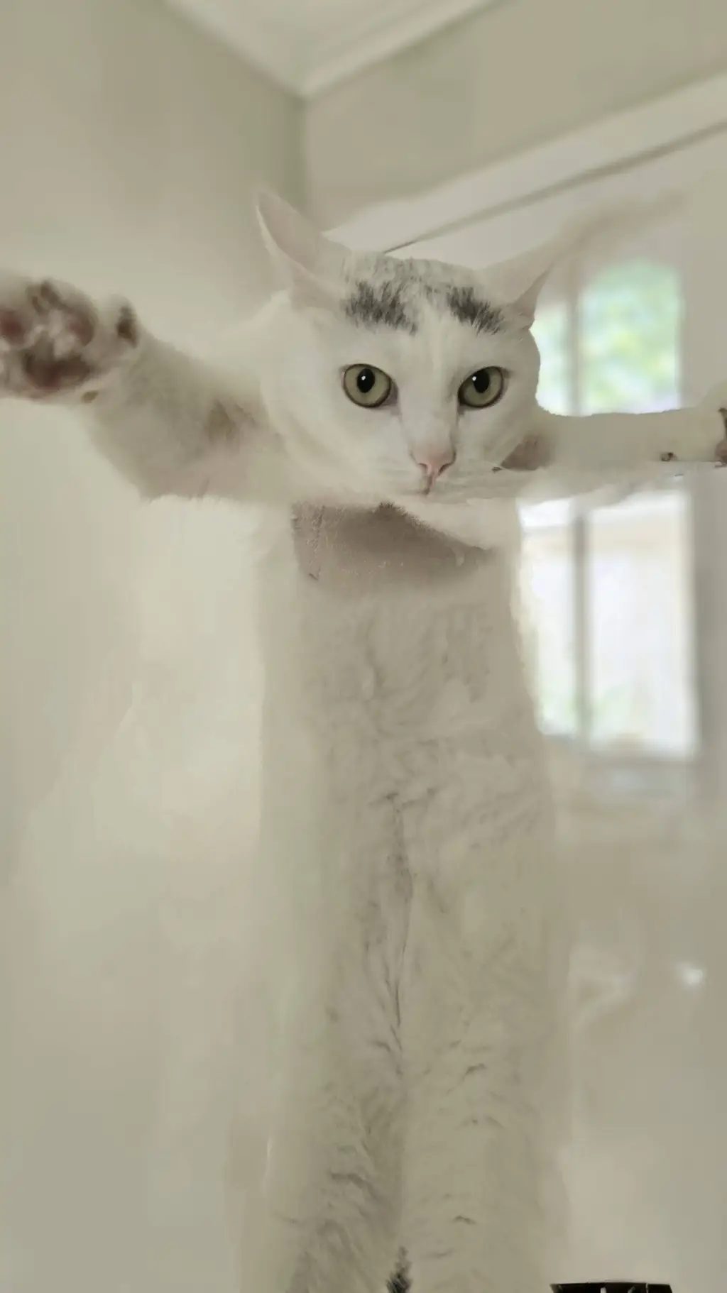 ai character: your cat sky background