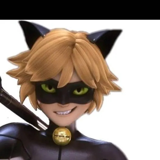 chat with ai character: cat noir