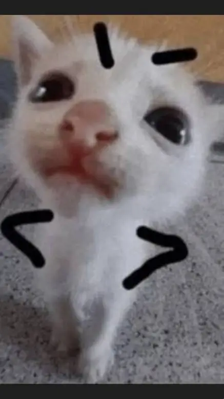 ai character: ♥︎Michu★ background