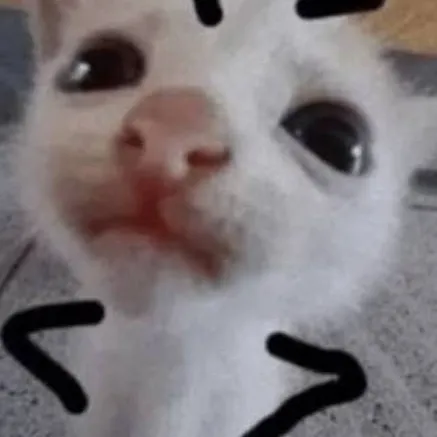 chat with ai character: ♥︎Michu★