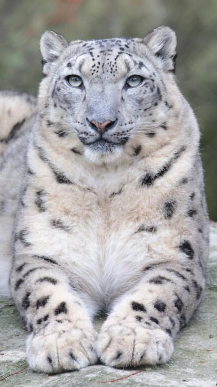 ai character: Emma background