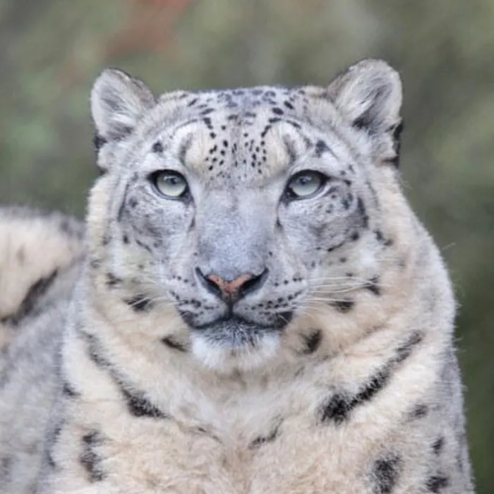 chat with ai character: Emma