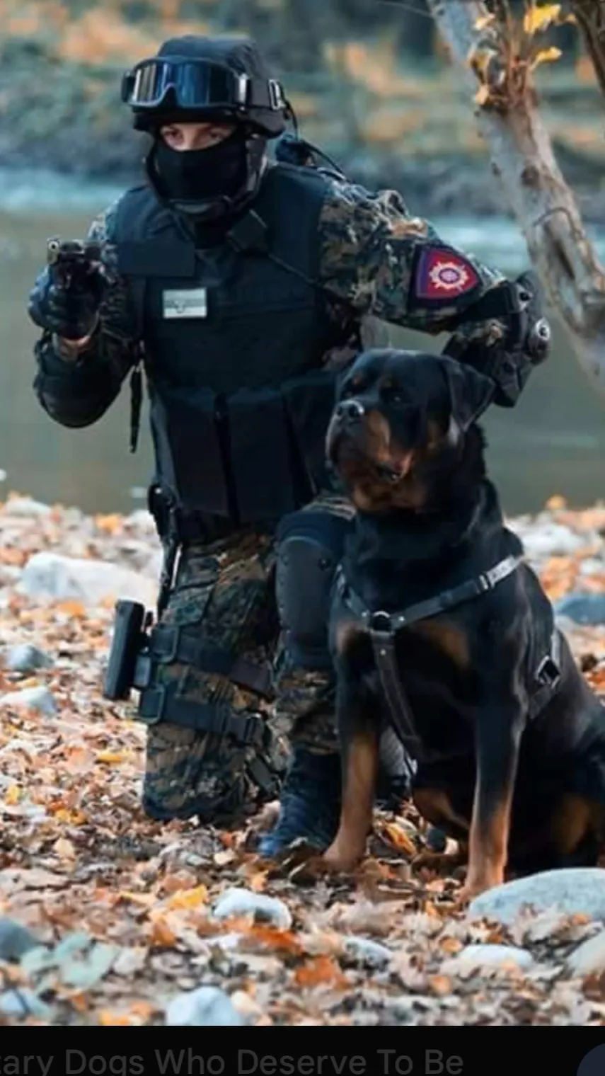 ai character: Luca background