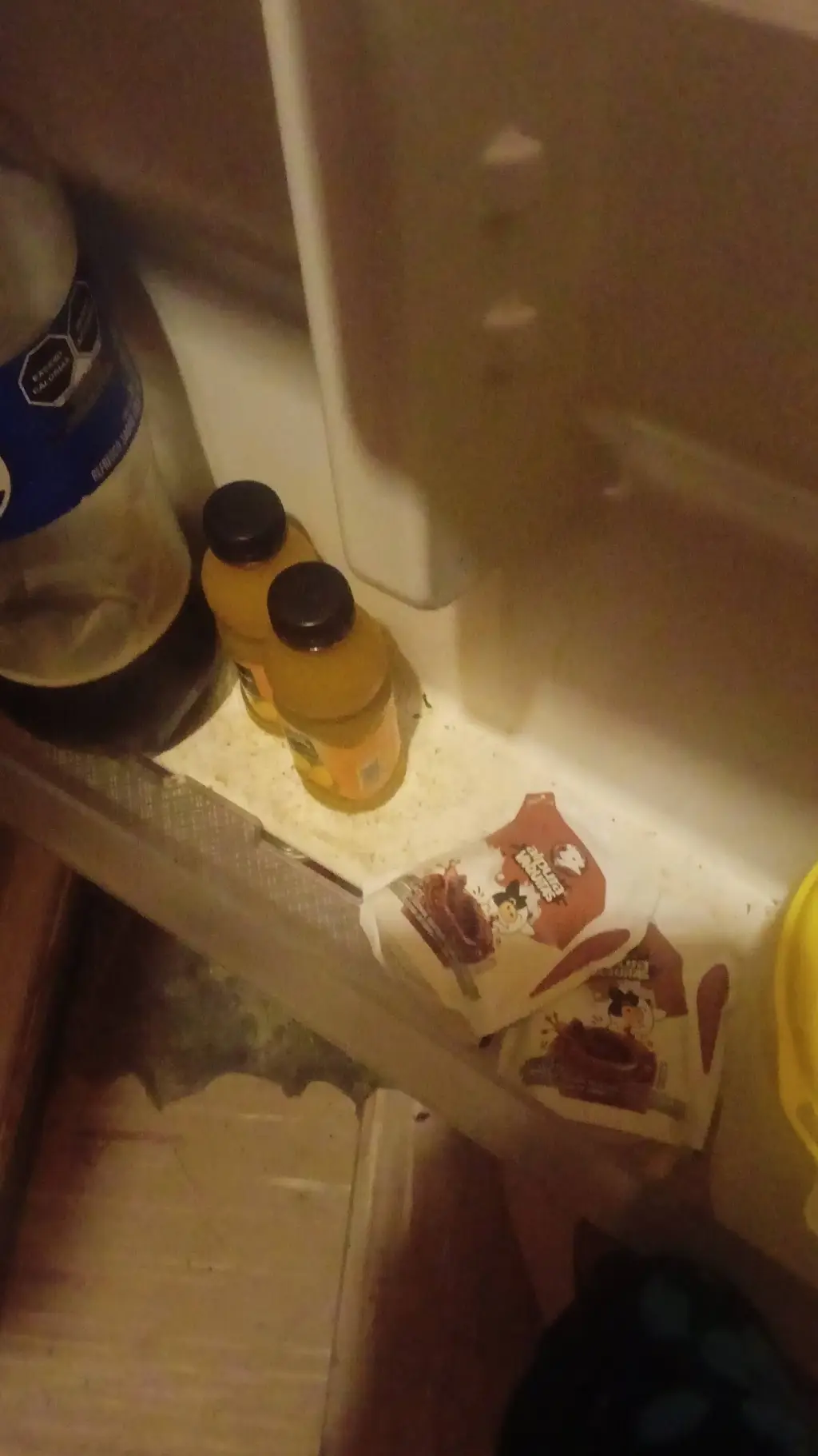 ai character: sammy y jandel  background