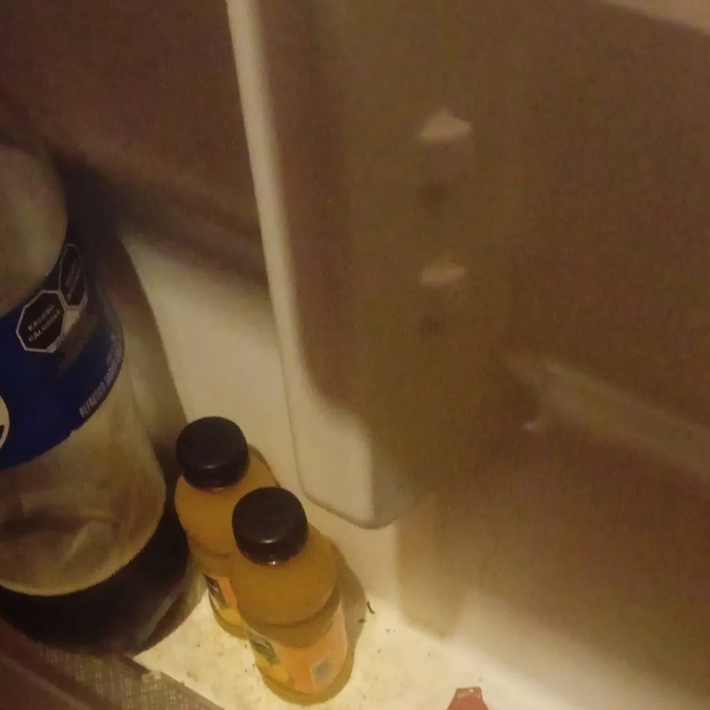 chat with ai character: sammy y jandel 