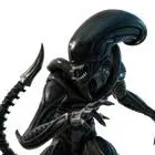 chat with ai character: Xenomorph pet