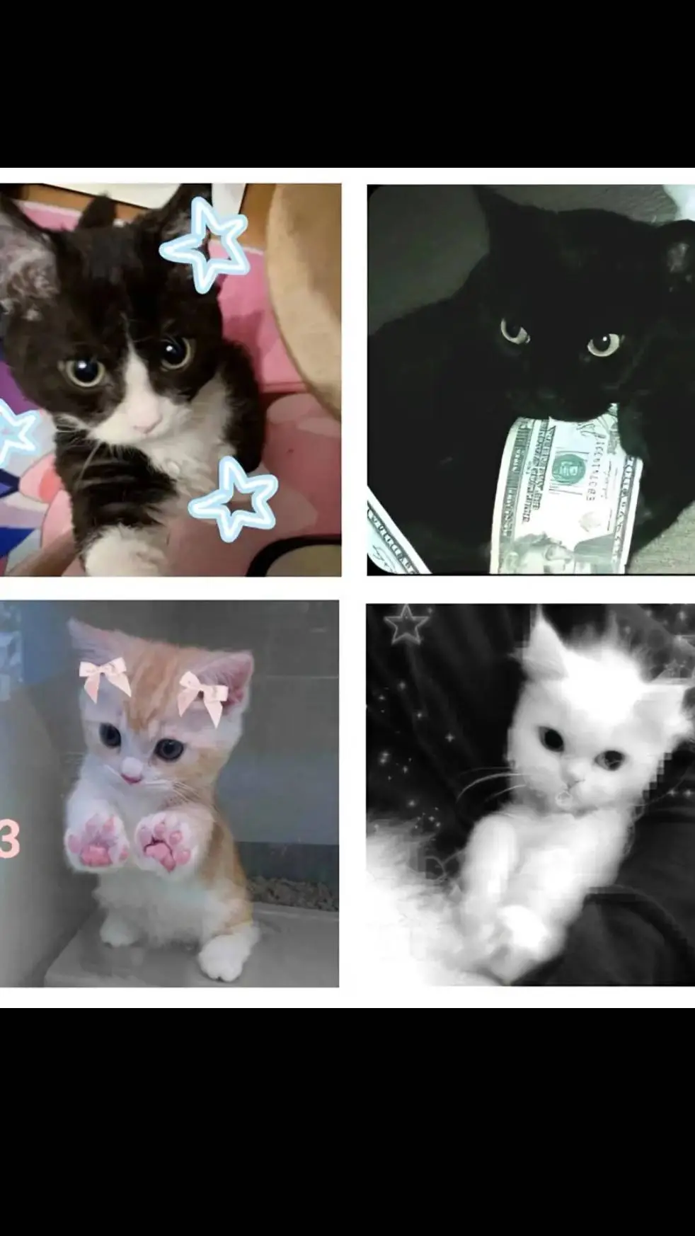 ai character: 4 Kitty's hate you background