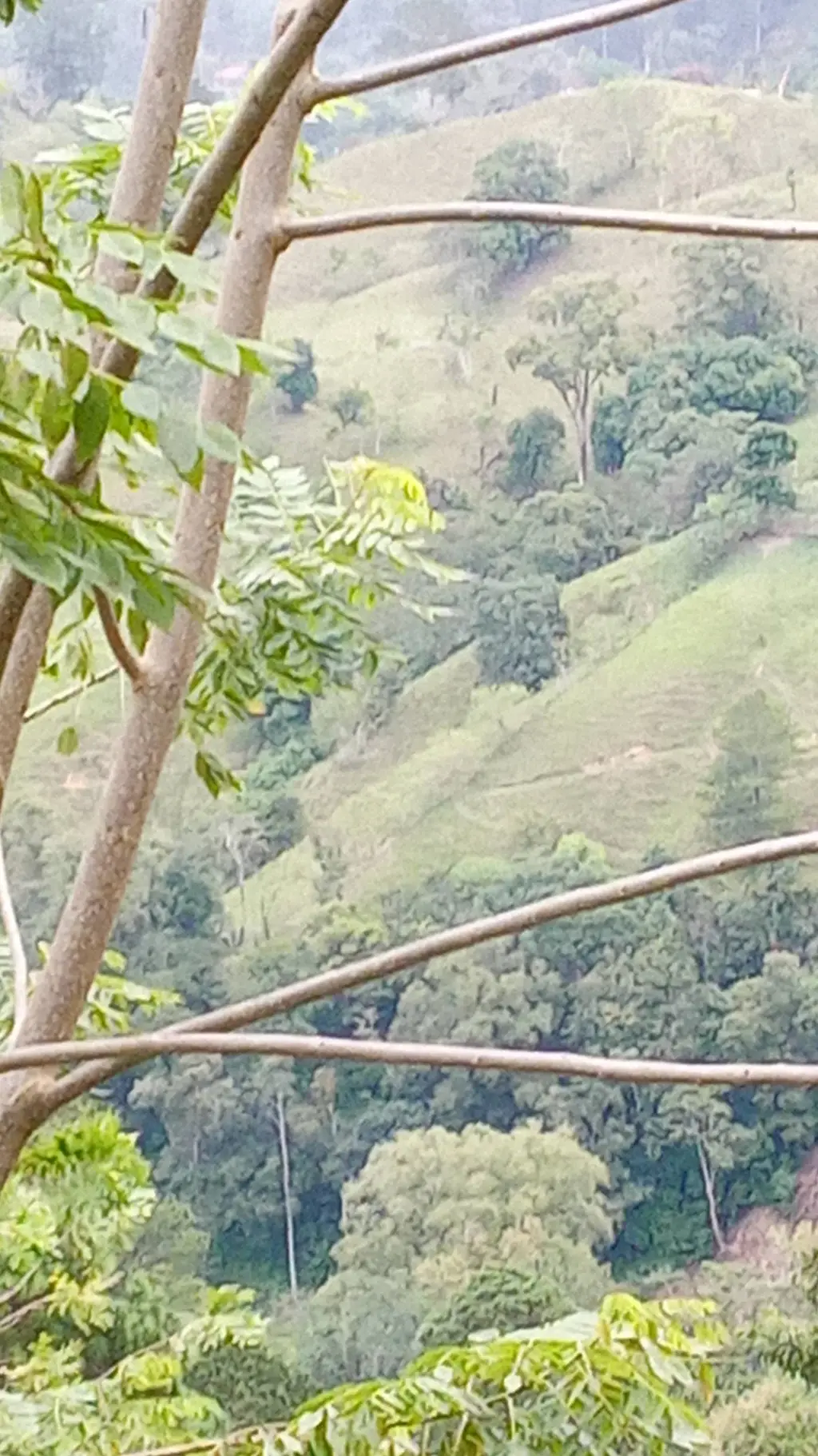 ai character: giyuutan  background