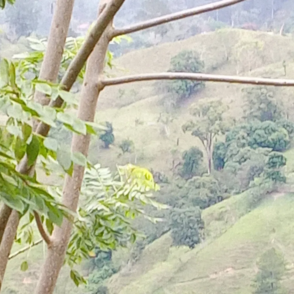 chat with ai character: giyuutan 