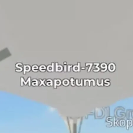 chat with ai character: goofy ahh planes