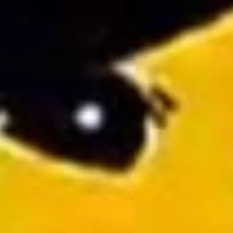 chat with ai character: Koala kid