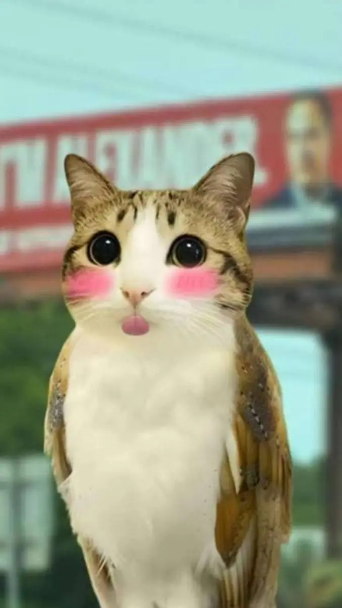 ai character: meowl background