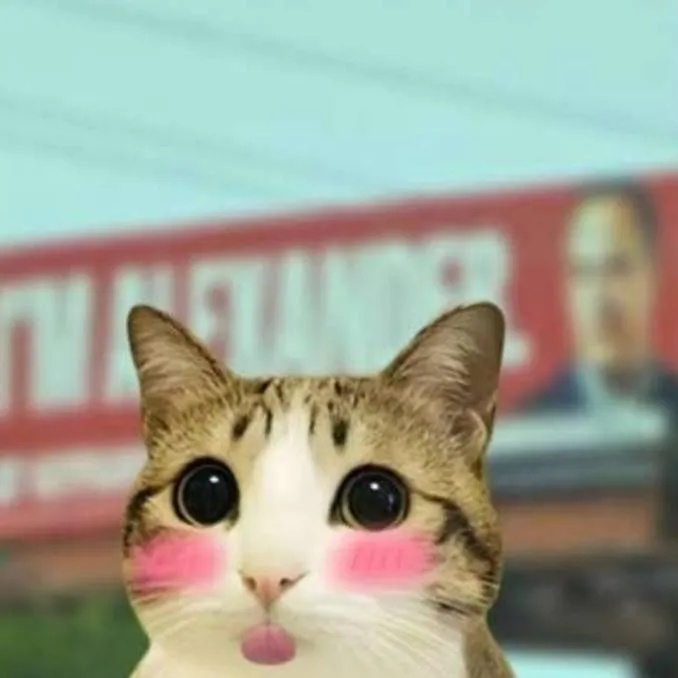 chat with ai character: meowl