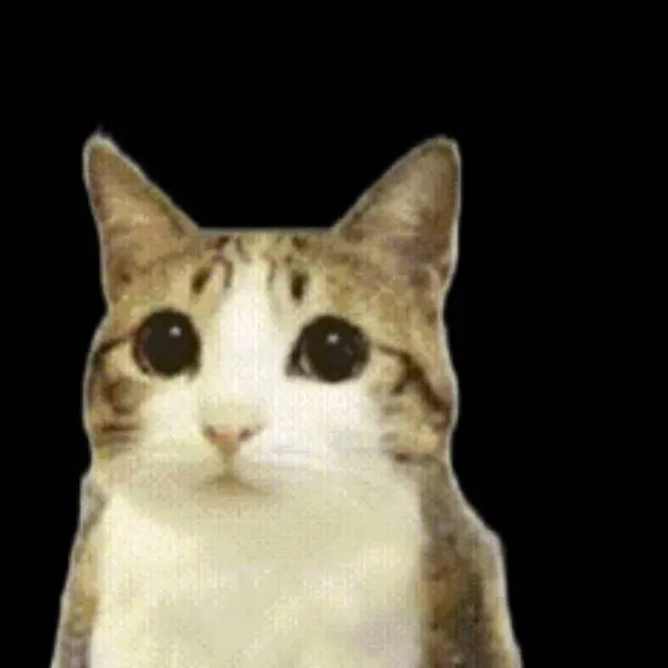 chat with ai character: meowl