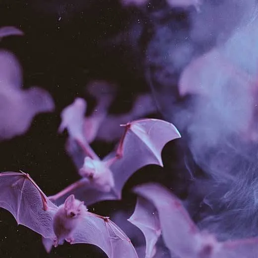 chat with ai character: ñomeño