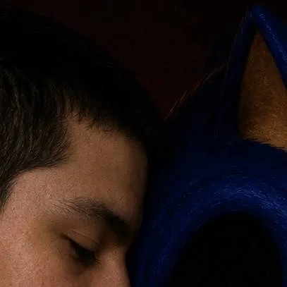 chat with ai character: Caison and Sonic 