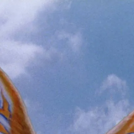 chat with ai character: mothra leo