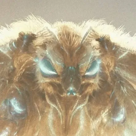 chat with ai character: Mothra