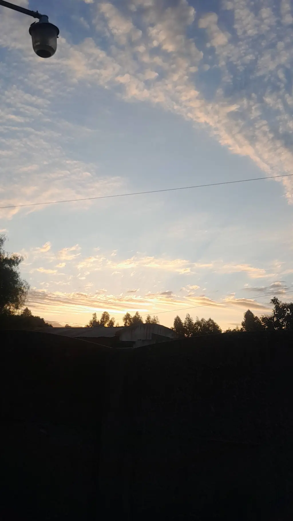 ai character: .... background