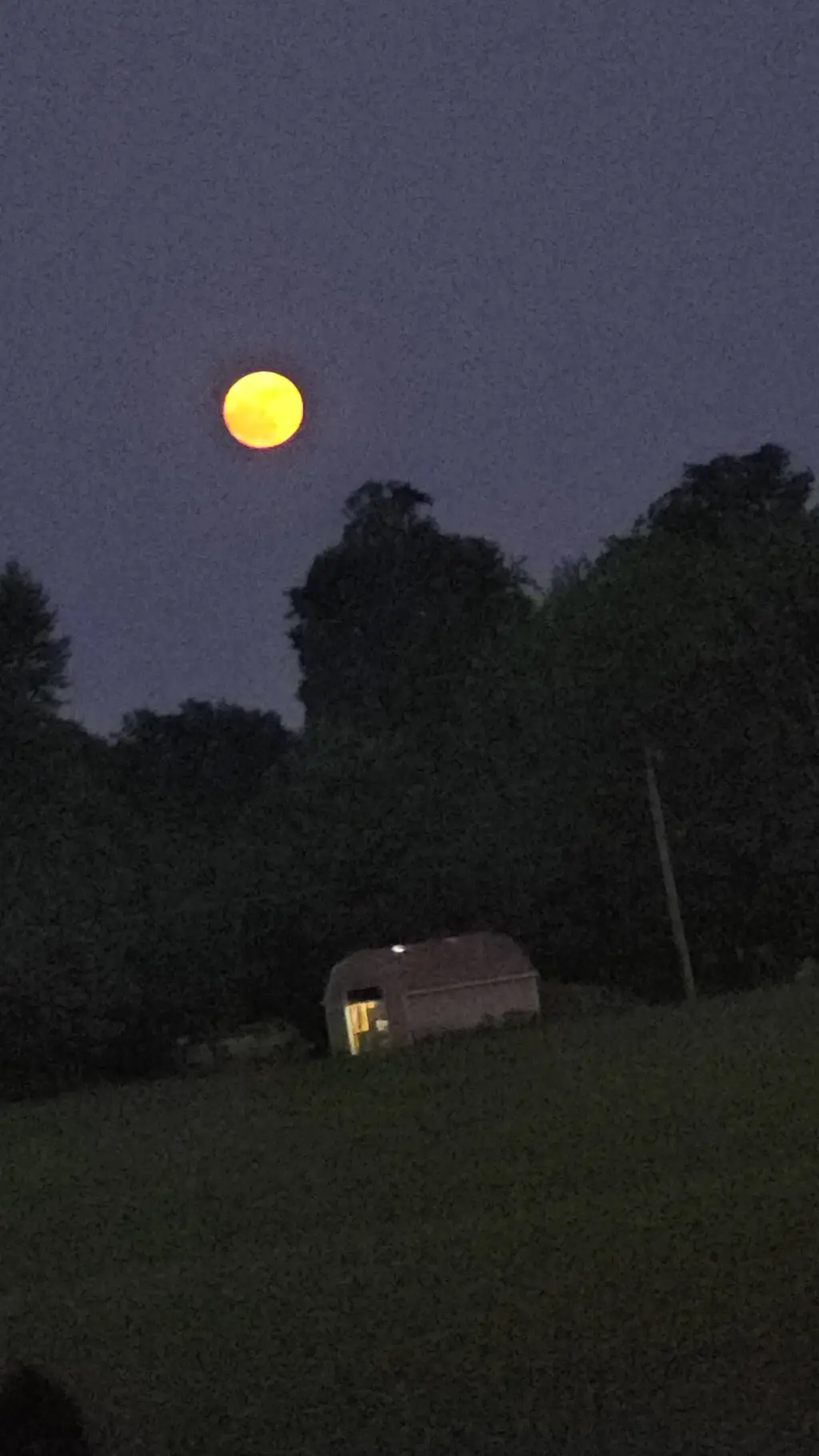 ai character: do anything  background