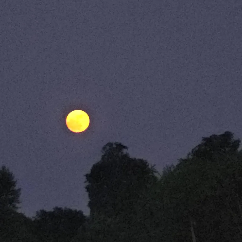 chat with ai character: do anything 