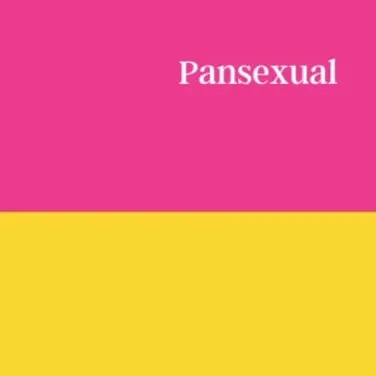 chat with ai character: Pansexual 