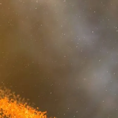 chat with ai character: destroy earth