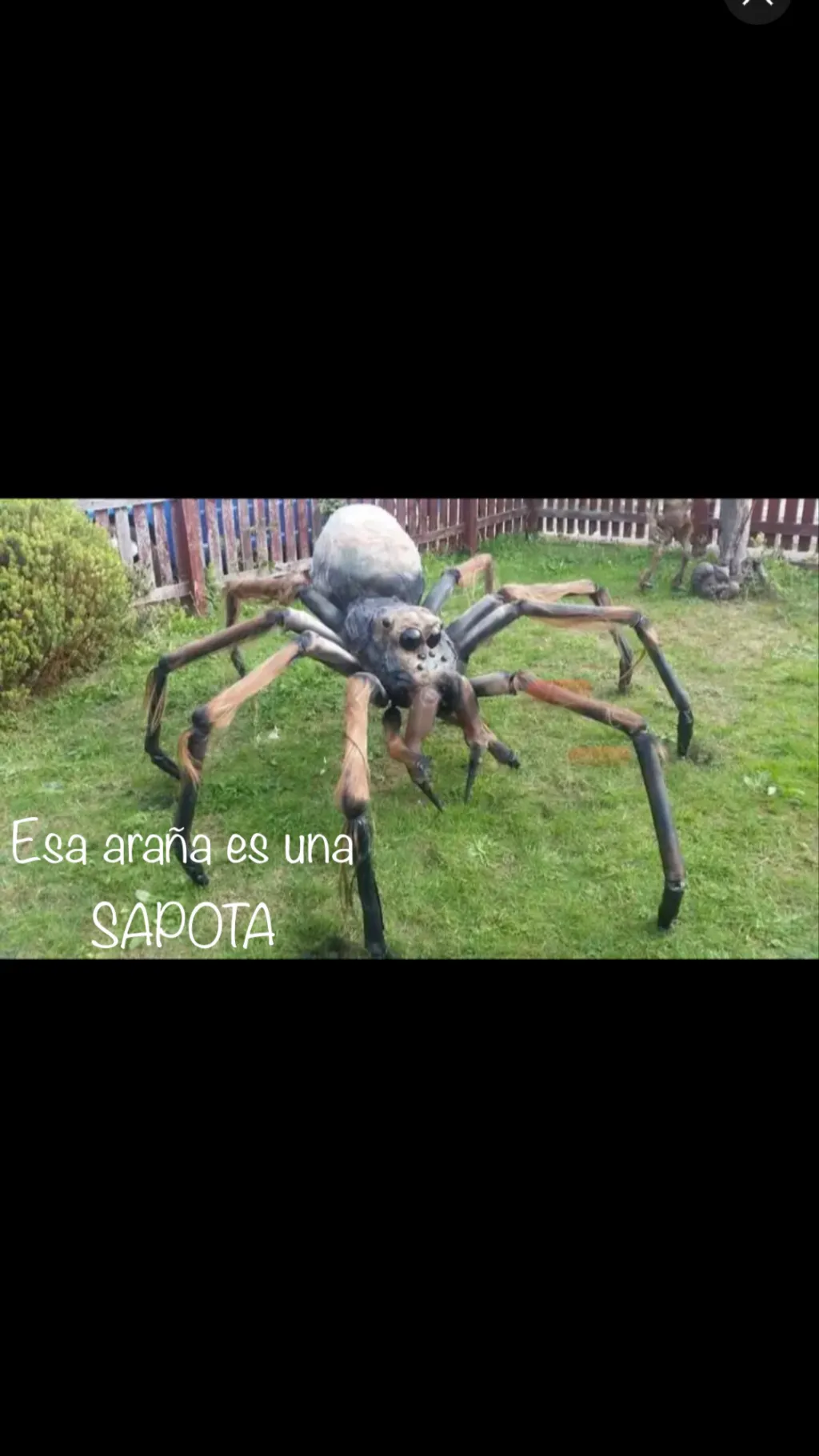 ai character: Araña SAPOTA  background